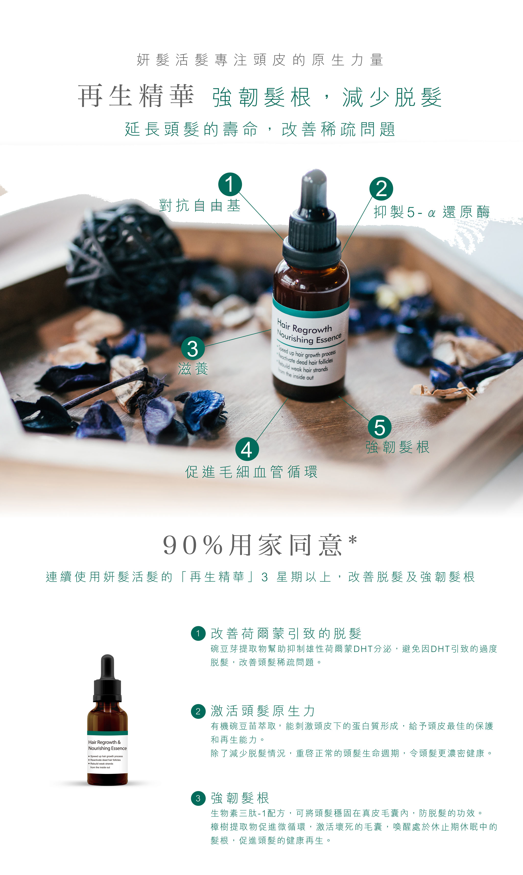 Teris Hair 再生精華