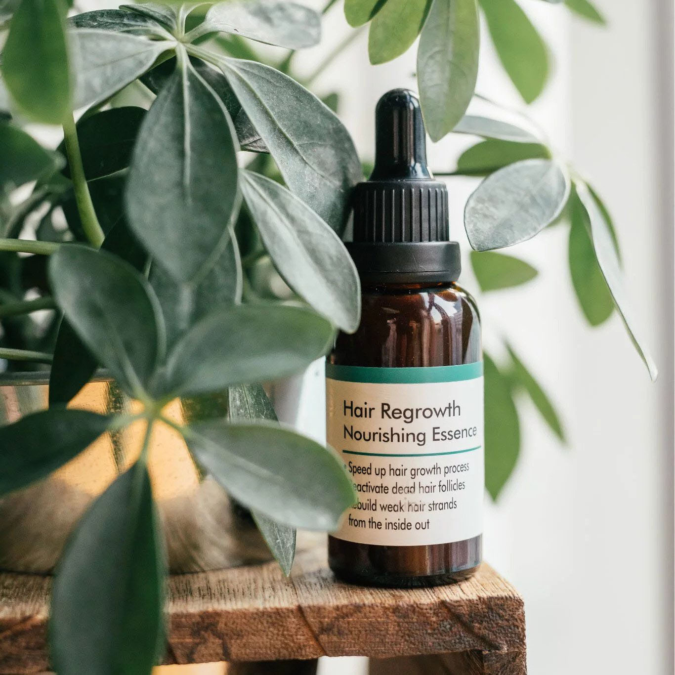 Teris Hair 再生精華 (Exp 2026-01-08)