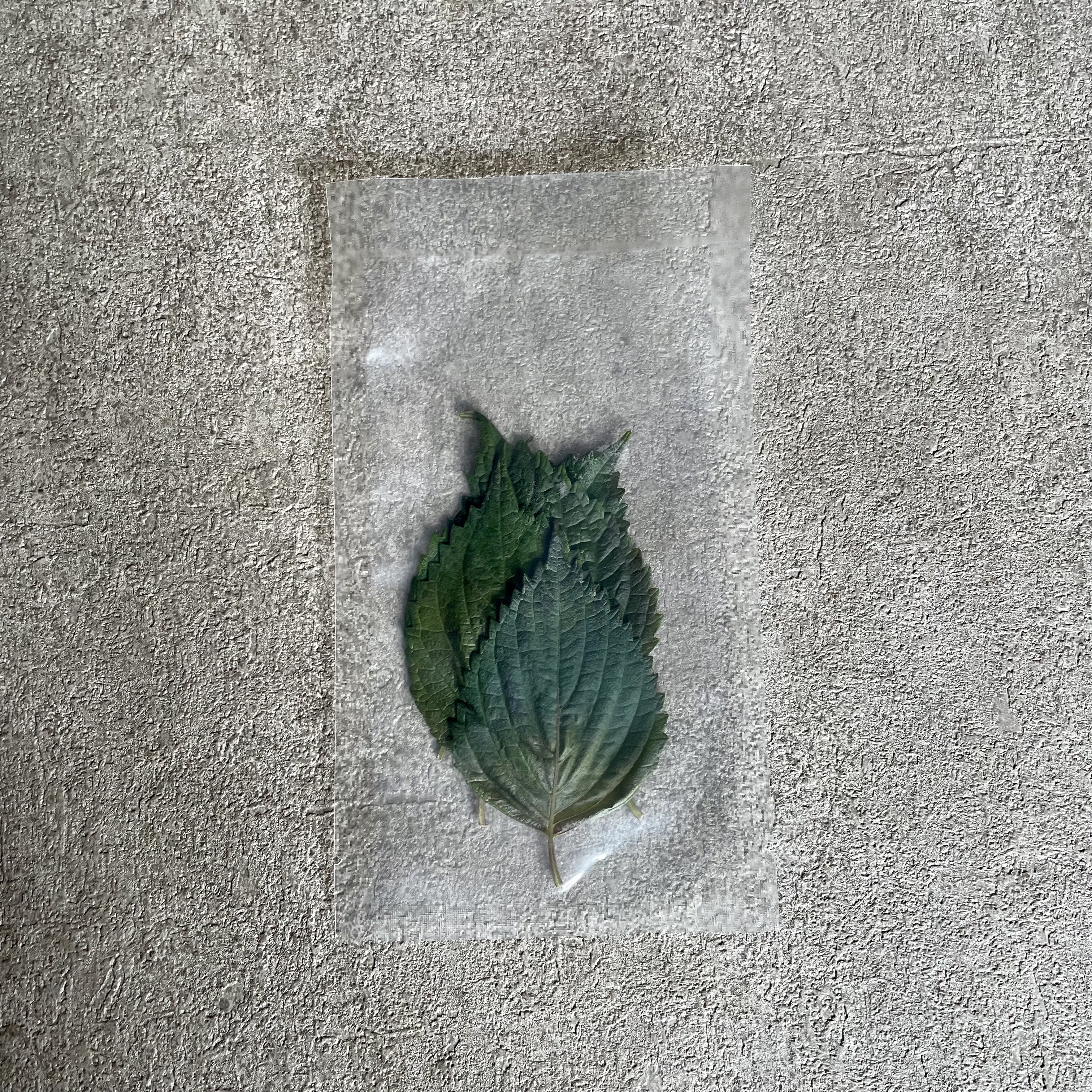 紫蘇葉_紫色(5片)