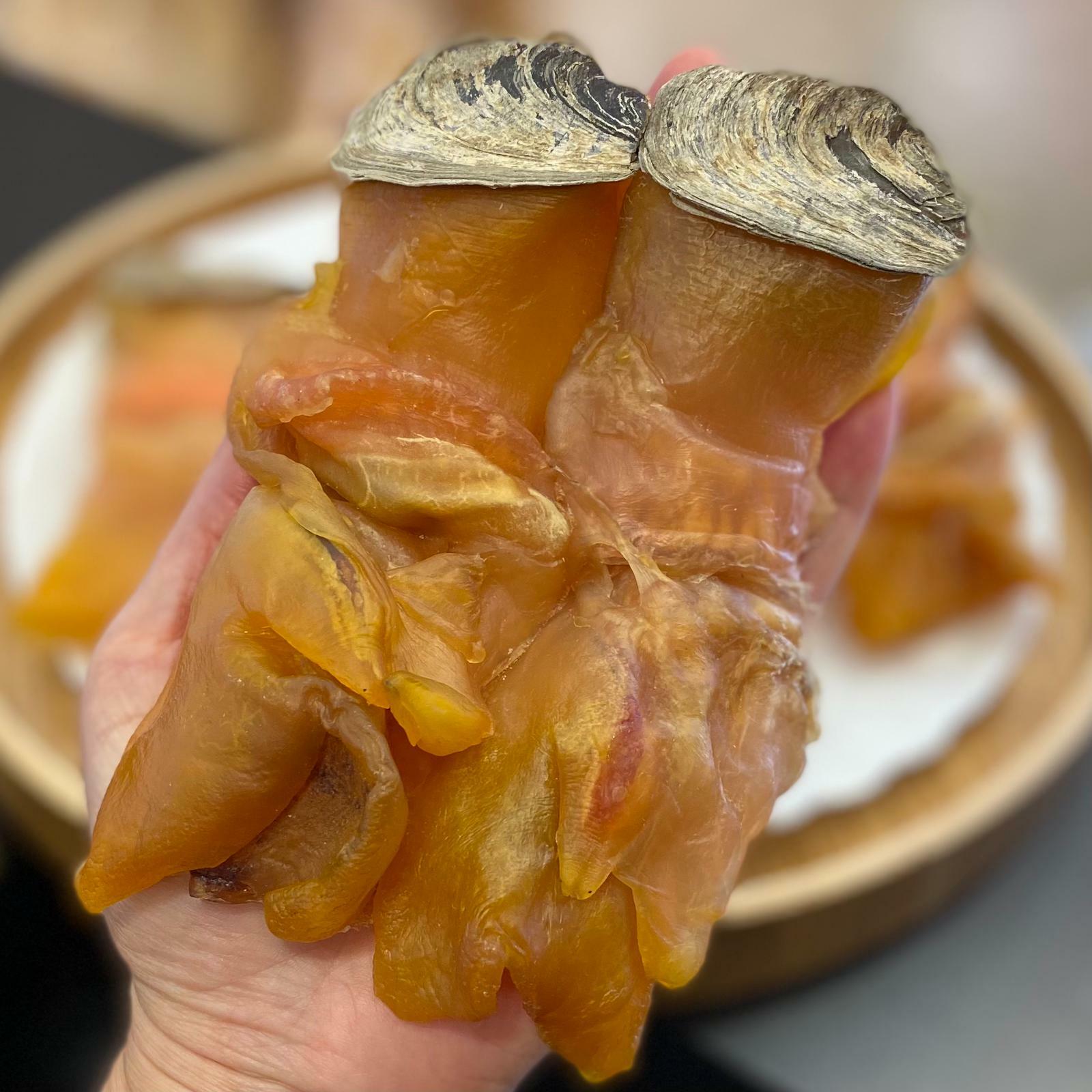 美國XL螺乾（600克）