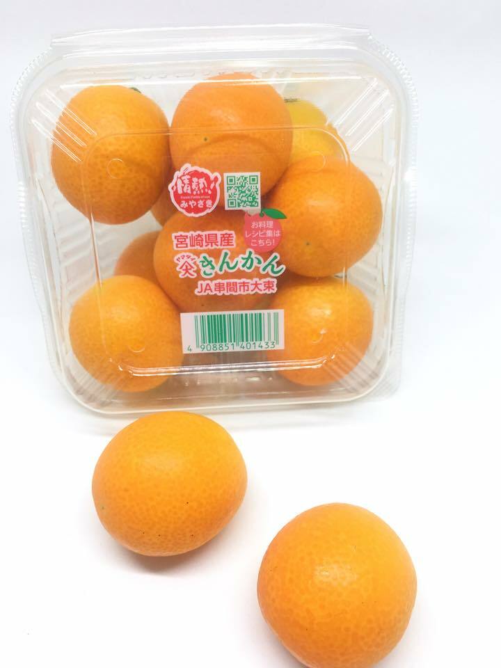 日本官崎高糖度金桔