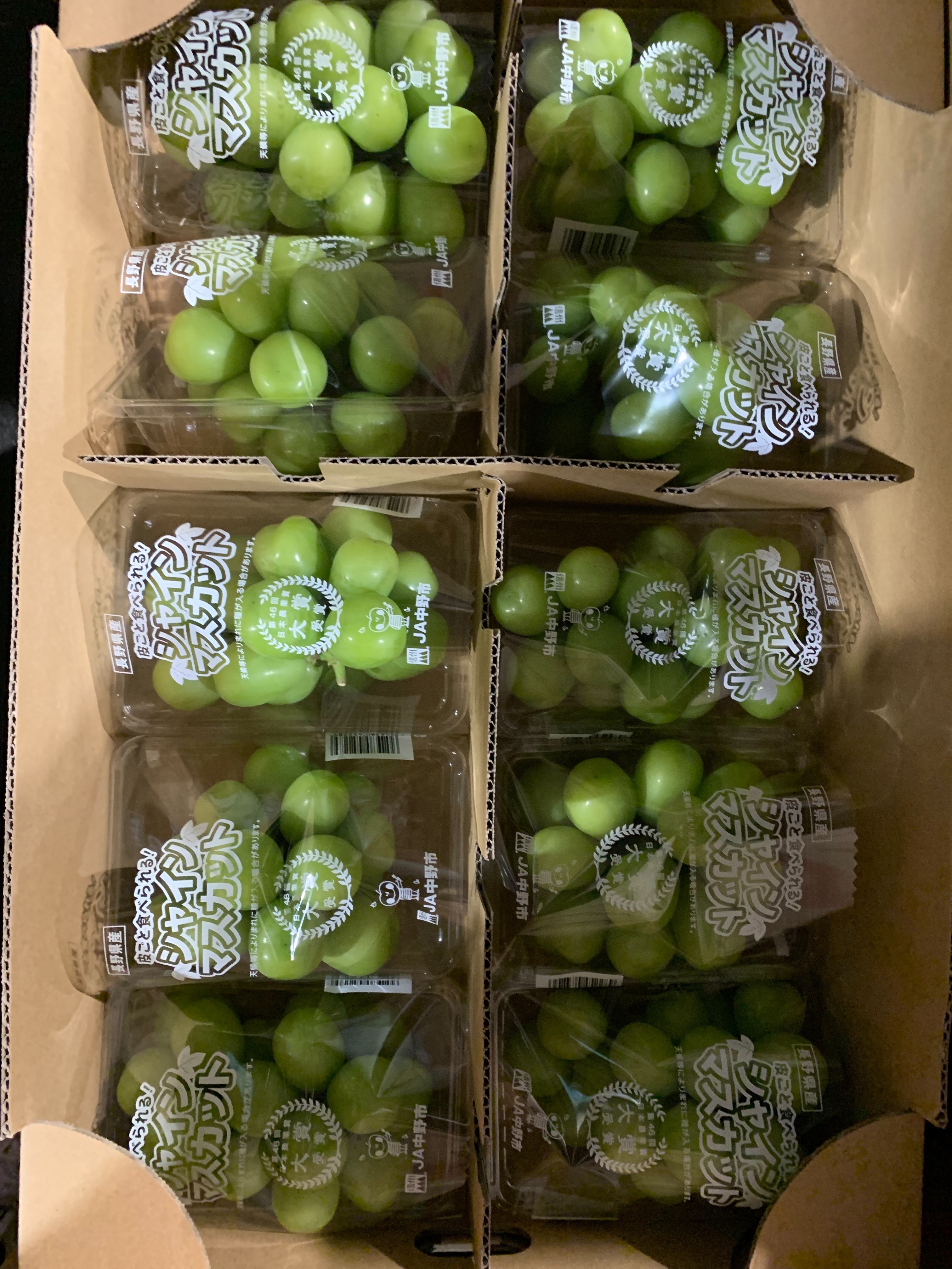 日本長野陽光香印 (兜裝)