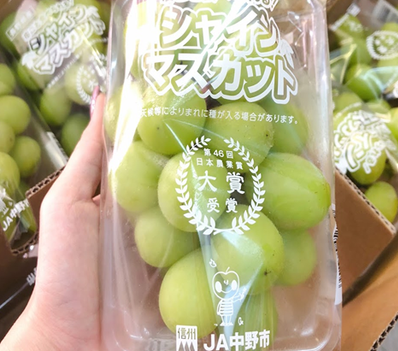 日本長野陽光香印 (兜裝)