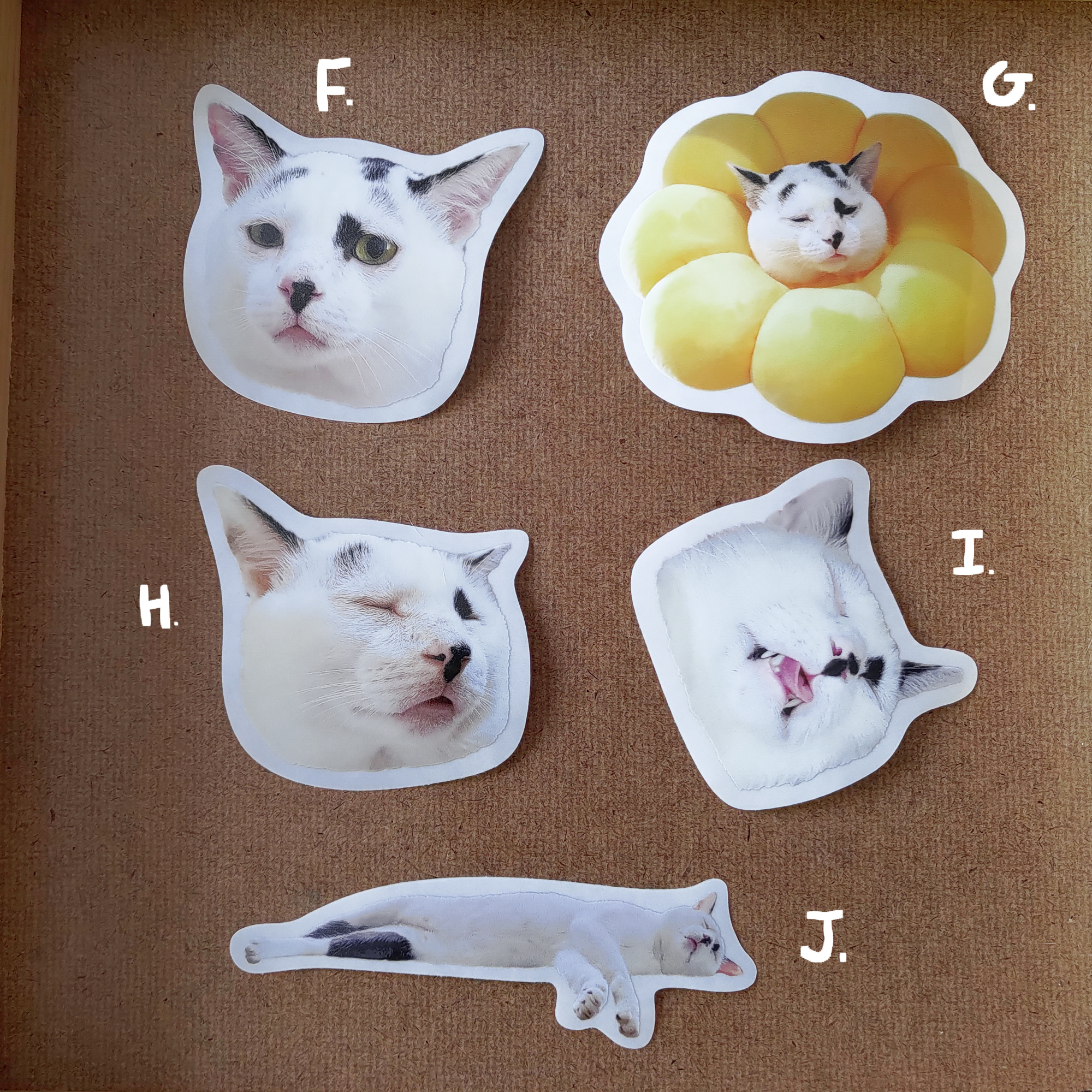 【ehcat貓室友】老背少防水透明貼紙