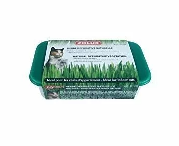 French Zolux-cat grass planting set