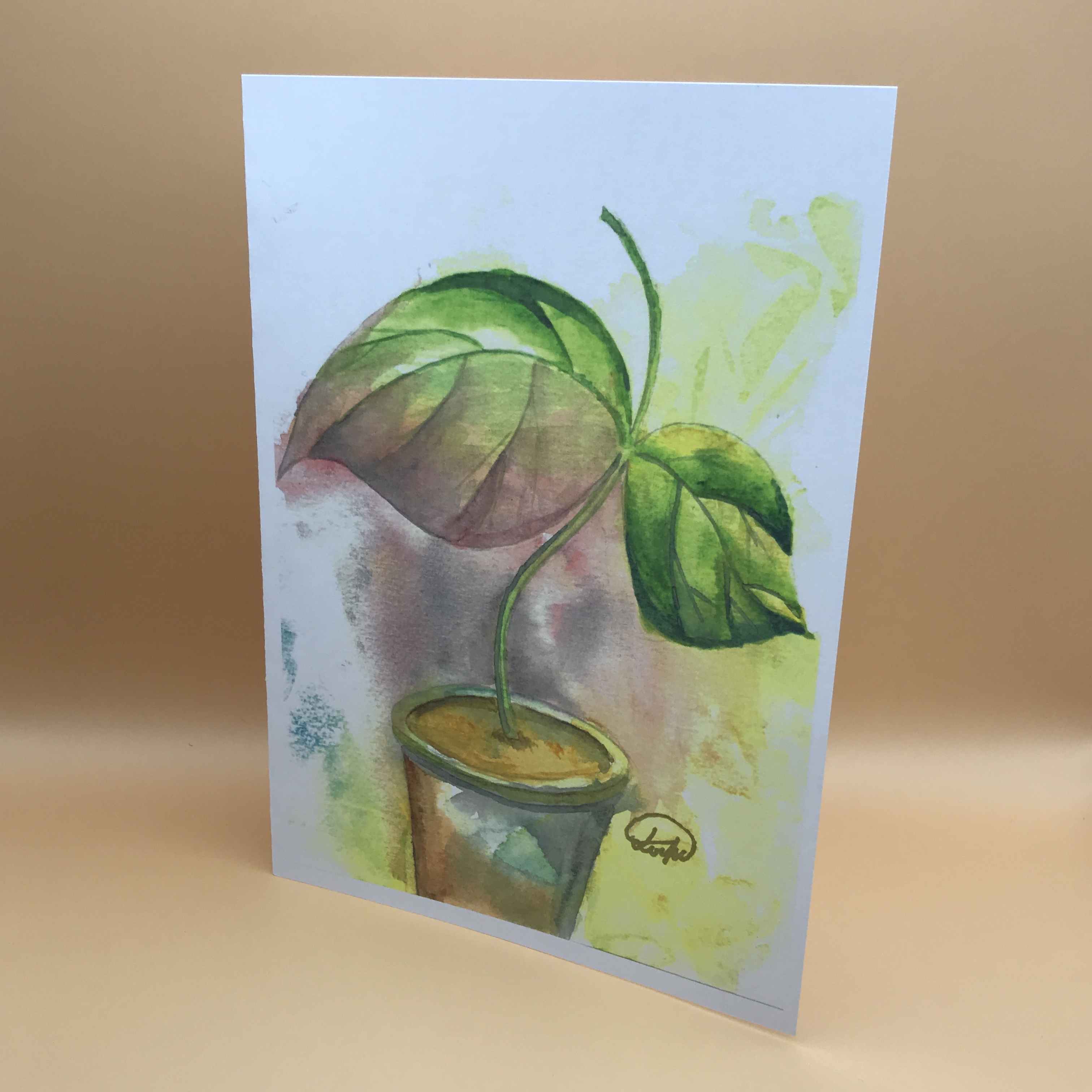 萬用卡 ( 小盆葉 )