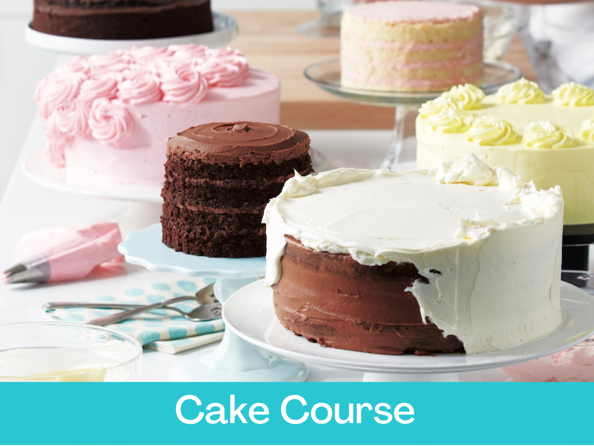 Online Cake Courses – The Gourmet Cake Company