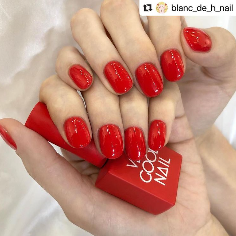 VERYGOODNAIL H6 (highlight)