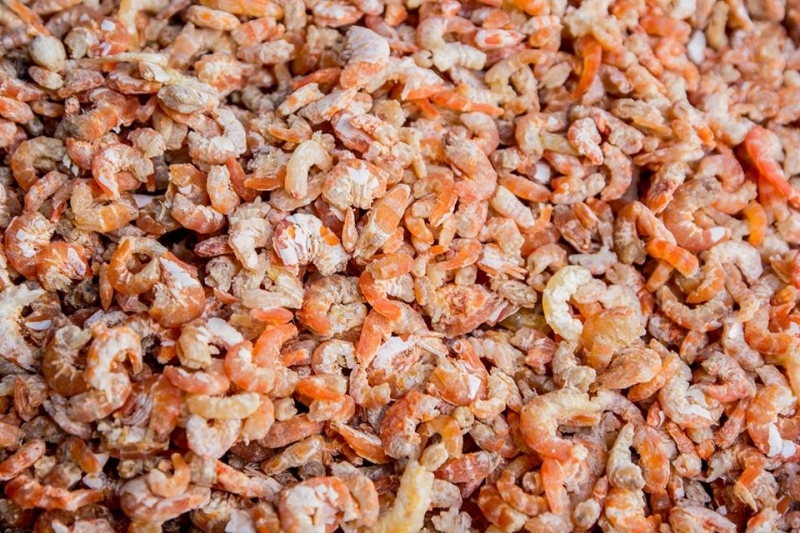 虾米 Dried Shrimp