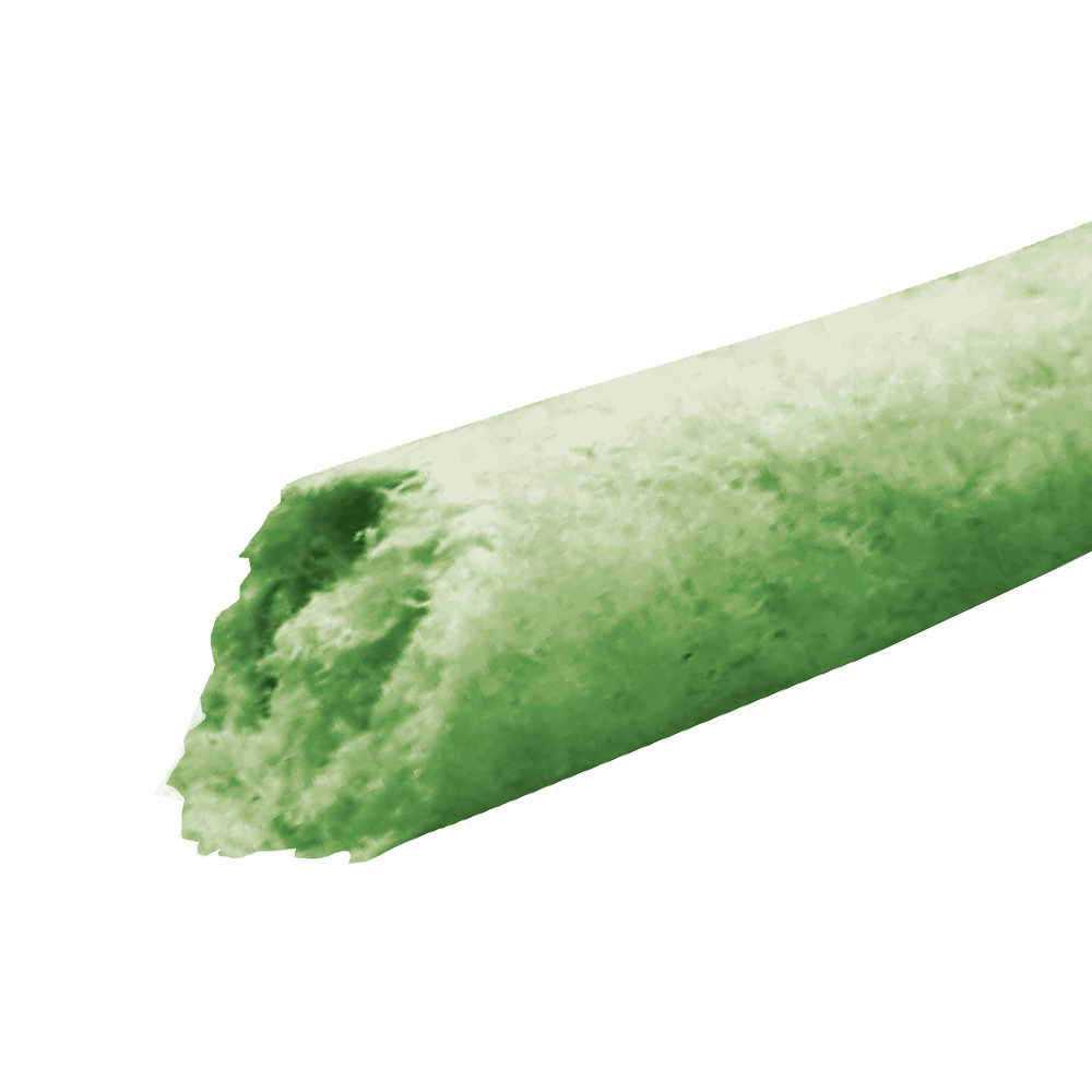 Sunrise 除口氣專用潔齒棒 含葉綠素．L⨉15本