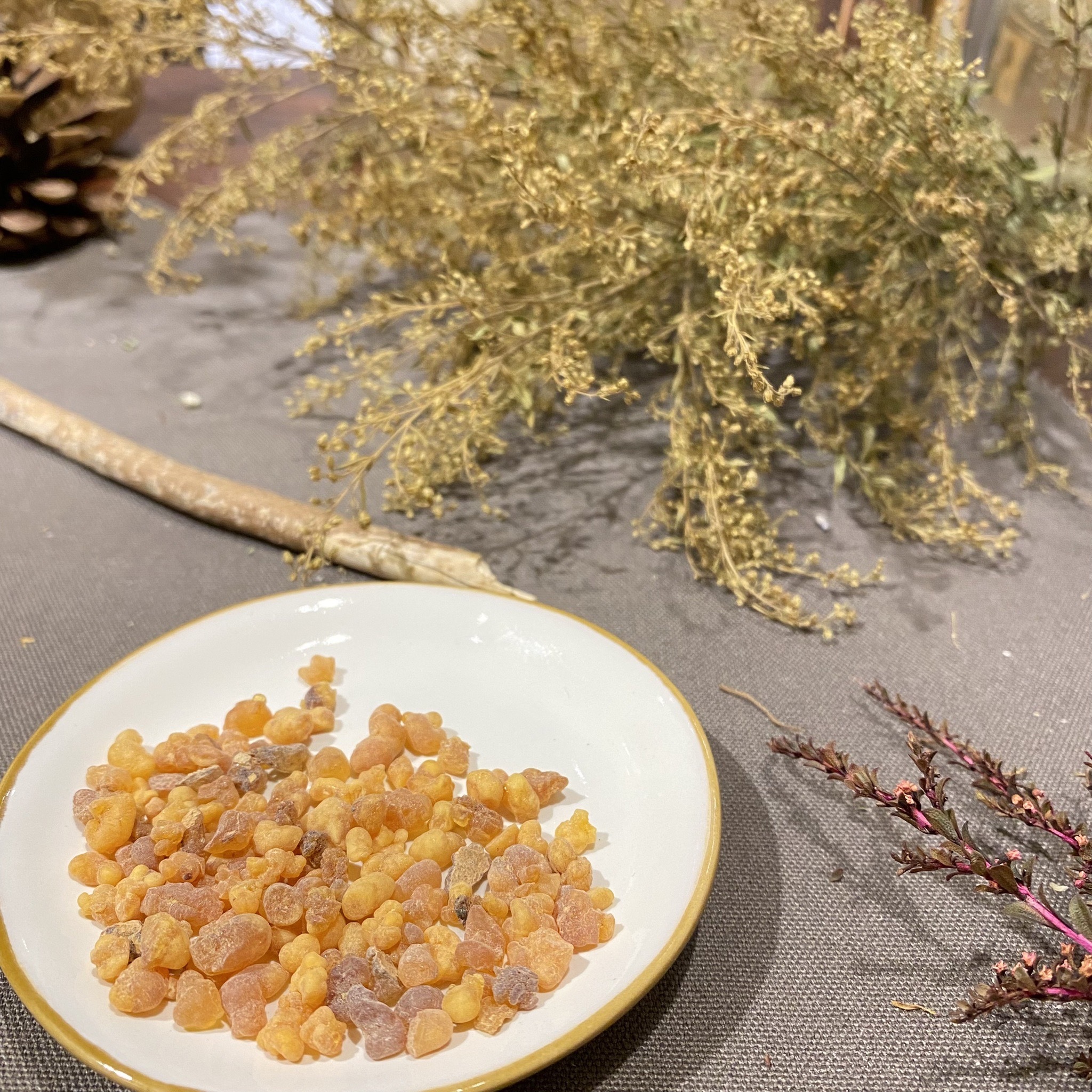 單方精油 | 古巴香脂 Copaiba