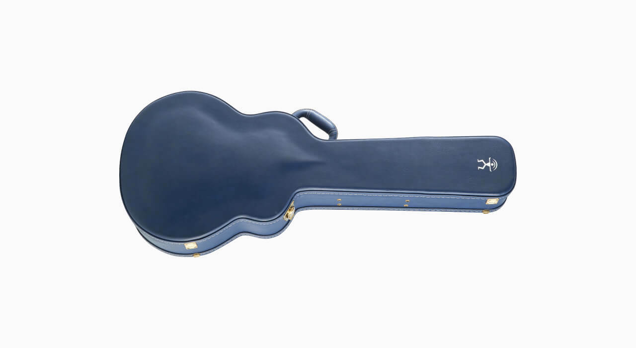 aNueNue 鳥吉他37吋硬盒 case 吉他托運