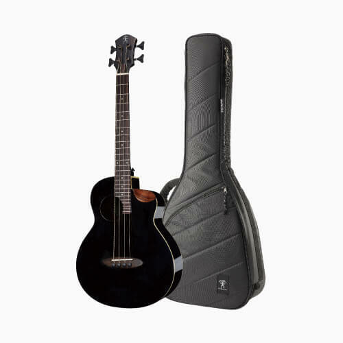 aNueNue MBS18E 木貝斯 空心貝斯 可接電 表演款 旅行貝斯 小貝斯