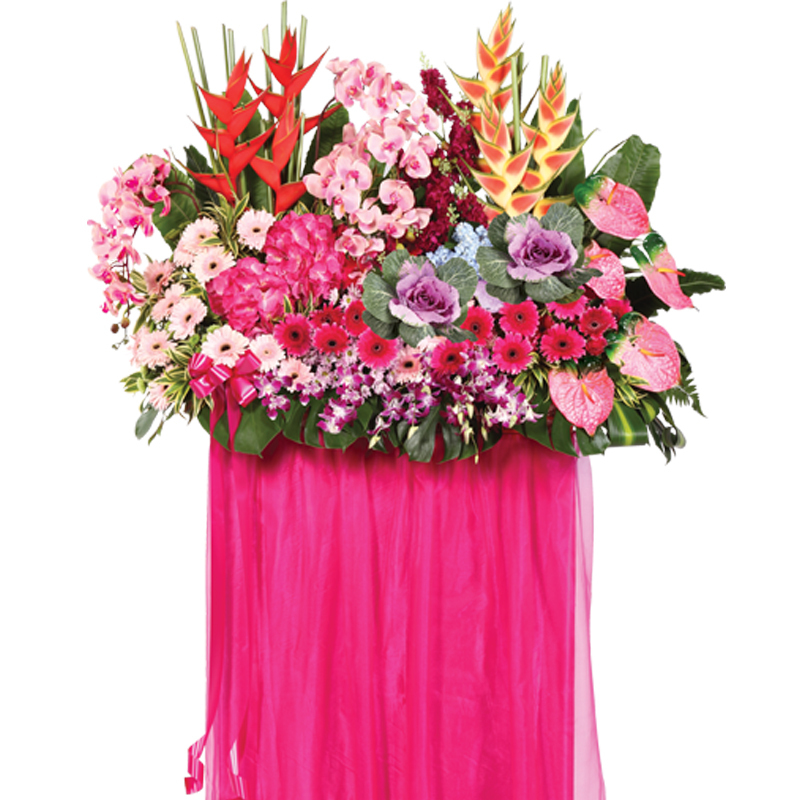 HCB05 ⭐⭐⭐⭐⭐member discount