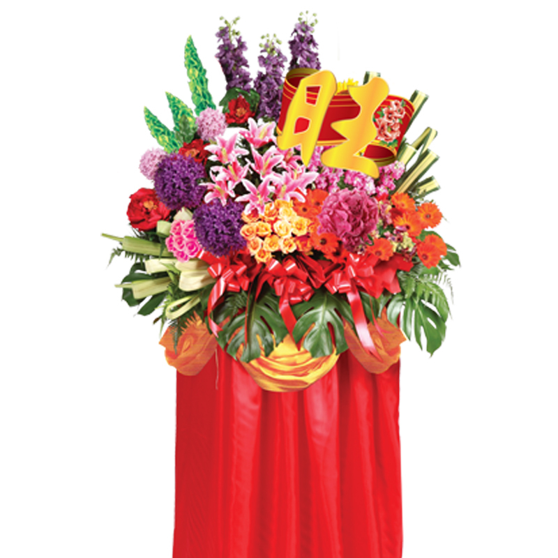 HCB07 ⭐⭐⭐⭐⭐Free Delivery