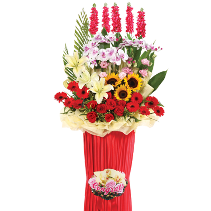 HCB09 ⭐⭐⭐⭐⭐