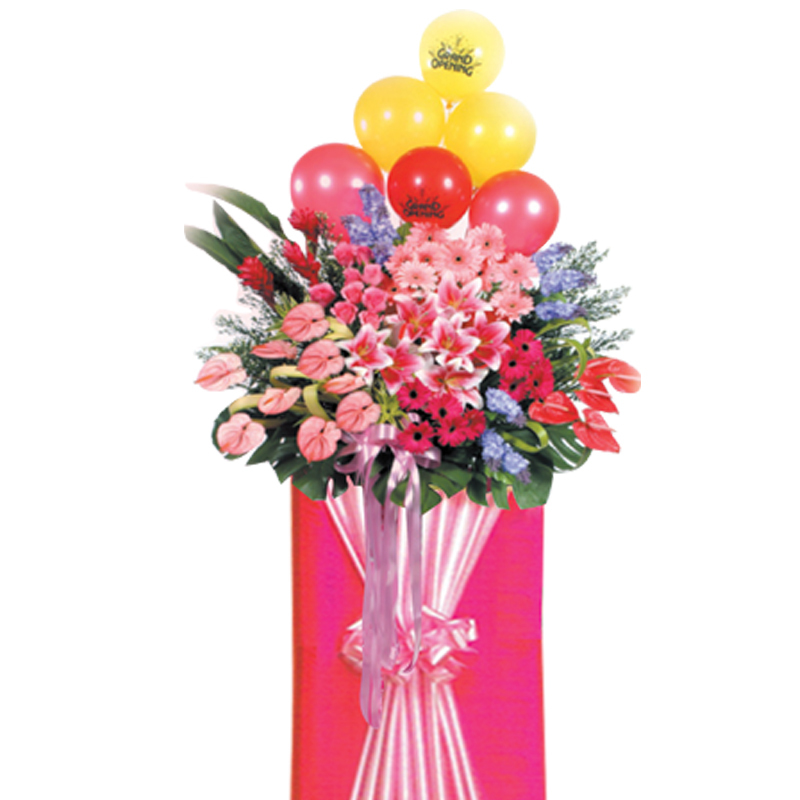 HCB10 ⭐⭐⭐⭐⭐member discount