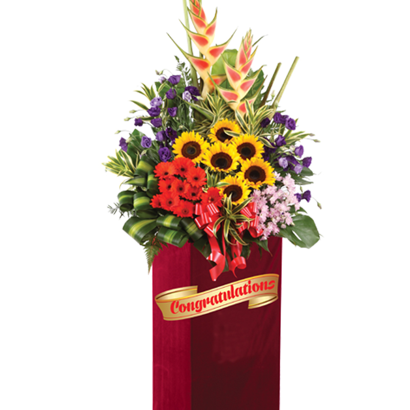 HCB12 ⭐⭐⭐⭐⭐member discount