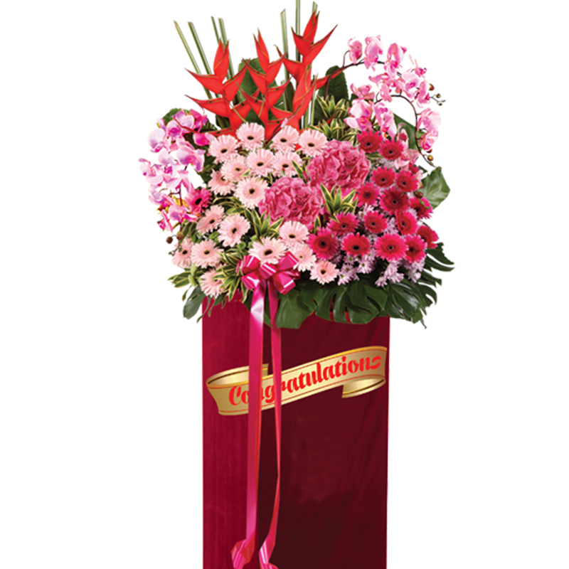 HCB13 ⭐⭐⭐⭐⭐FREE DELIVERY