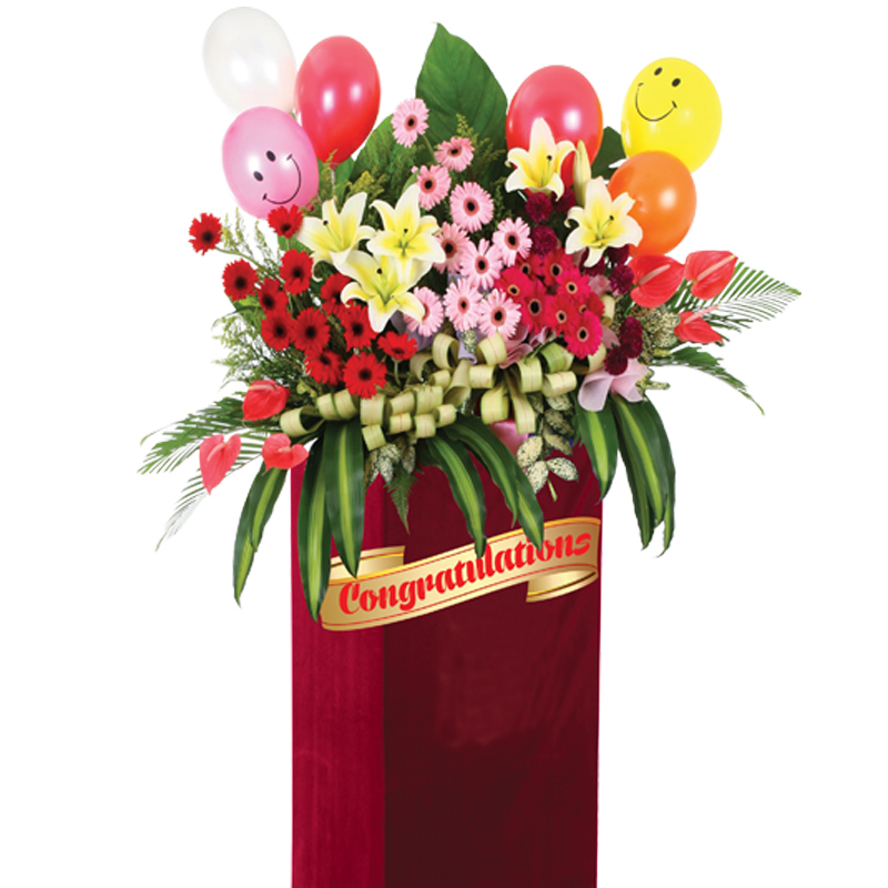 HCB15 ⭐⭐⭐⭐⭐FREE DELIVERY