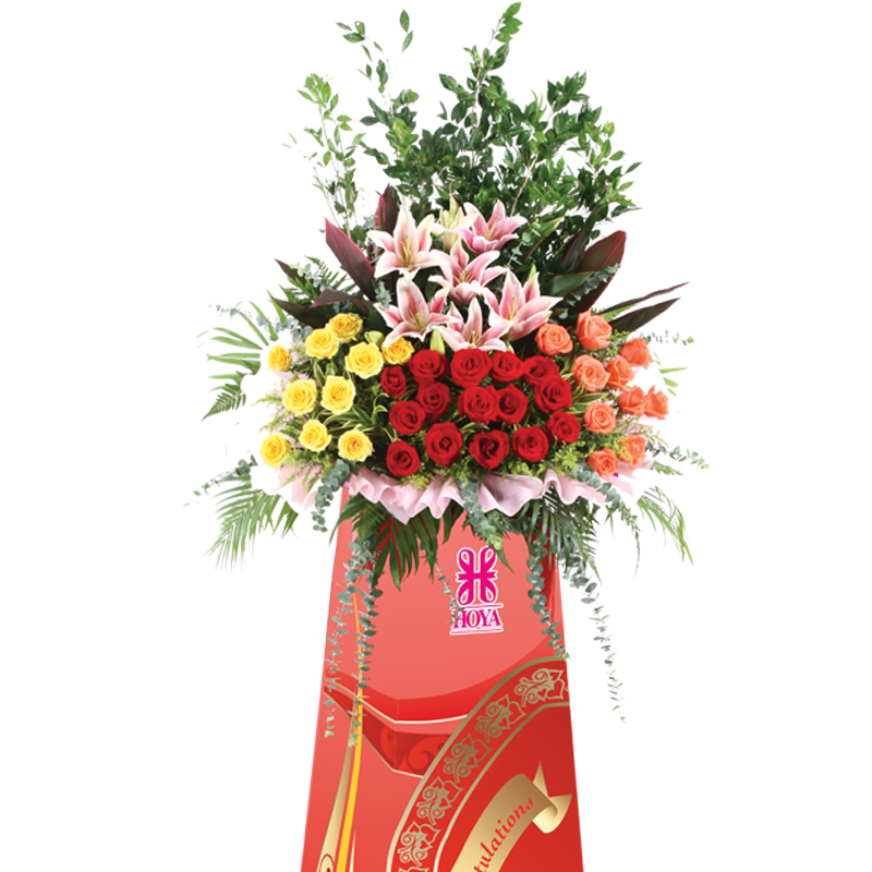 HCB16 ⭐⭐⭐⭐⭐member discount