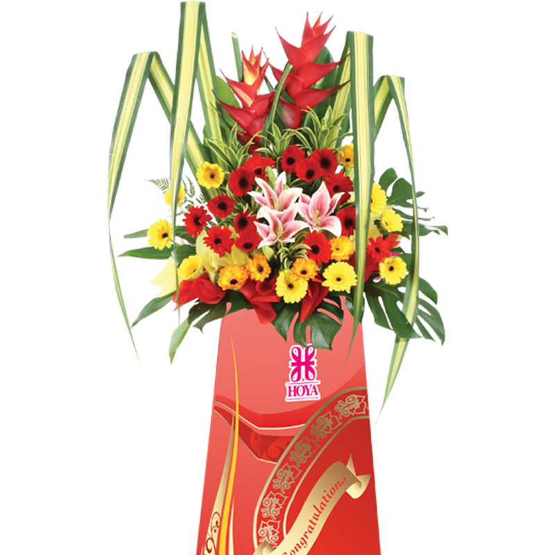 HCB17 ⭐⭐⭐⭐⭐member discount