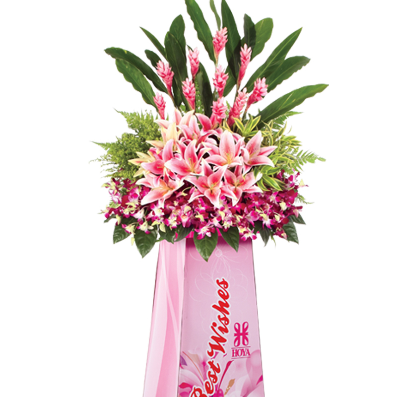 HCB20 ⭐⭐⭐⭐⭐FREE DELIVERY