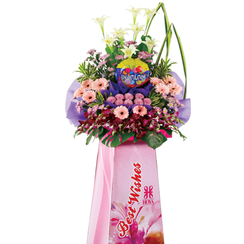 HCB21 ⭐⭐⭐⭐⭐member discount