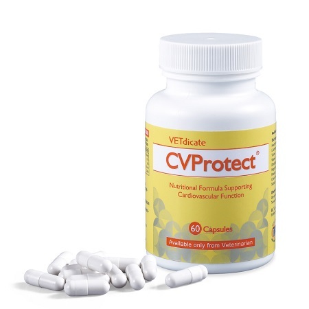 寵特寶心寶 60粒