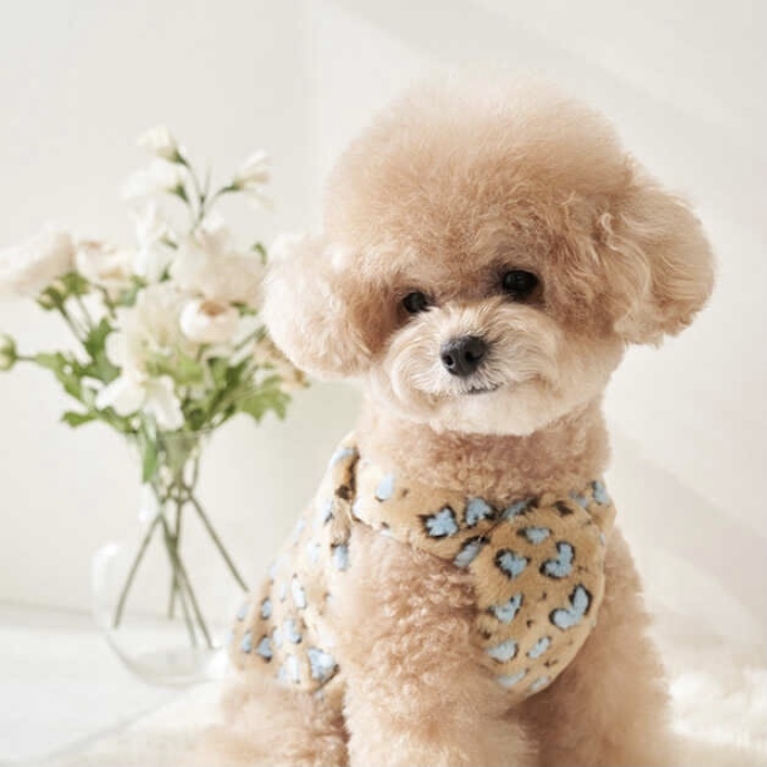 毛茸茸背心Leopard Fur Crop (Blue)豹紋藍- It’s sunny outside