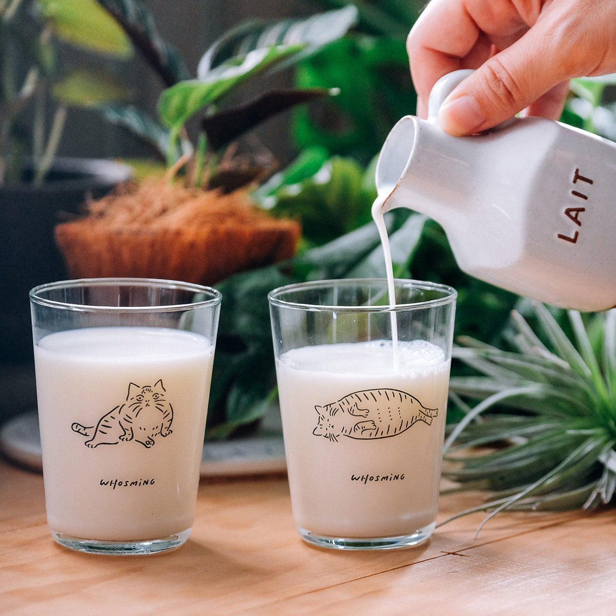 【+t企劃】WHOSMiNG 關於阿喵 • 日常