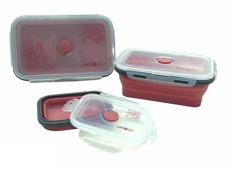 LEXINGTON silicone collapsible storage box (set of 3 pcs)