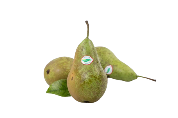 荷蘭長啤梨/3pcs