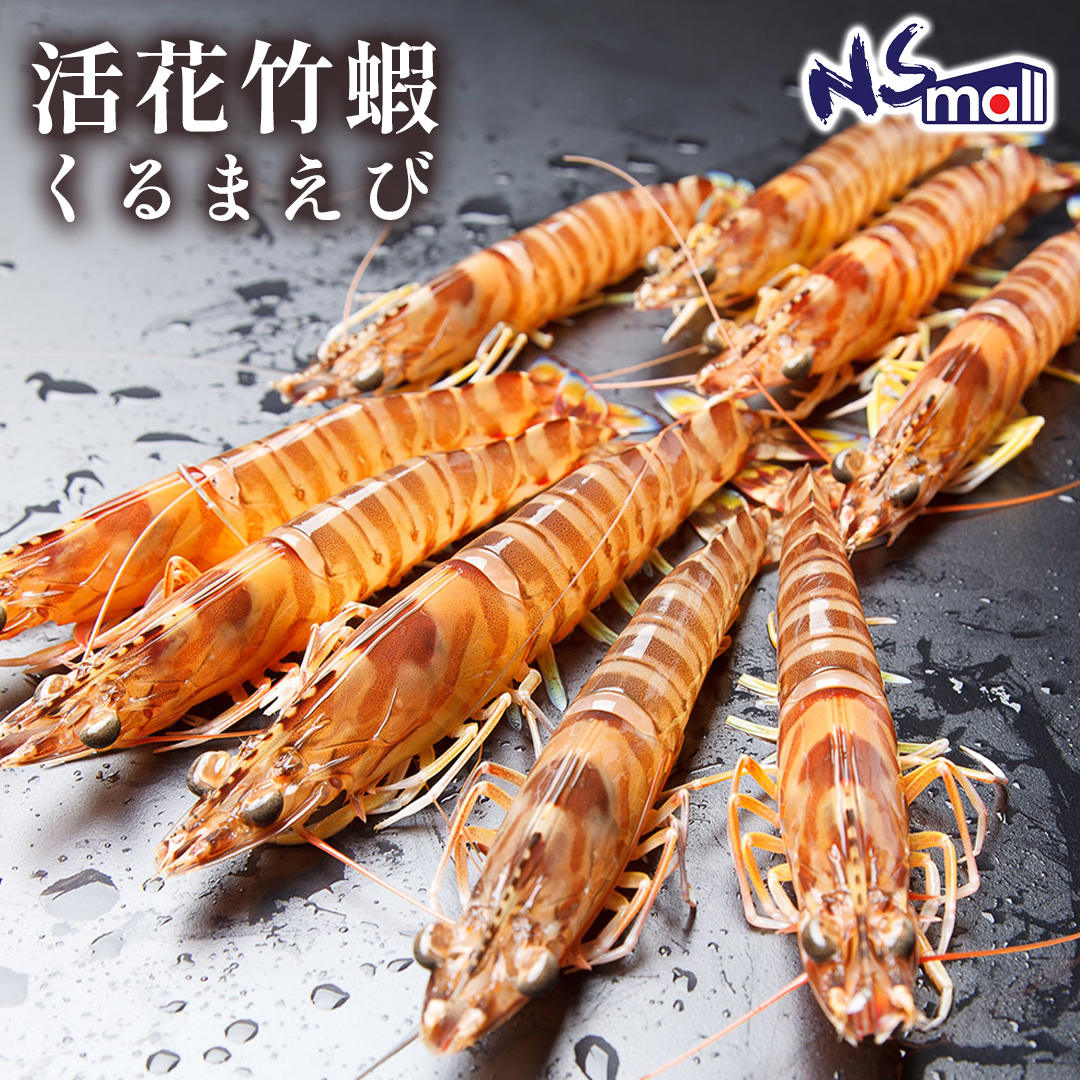 活花竹蝦(車海老) 約500g/份