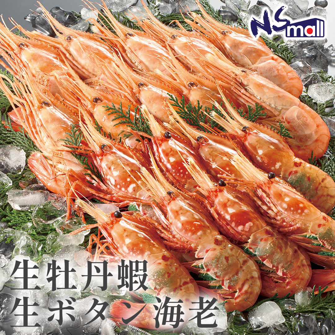 牡丹蝦 約500g/份 (冰鮮)