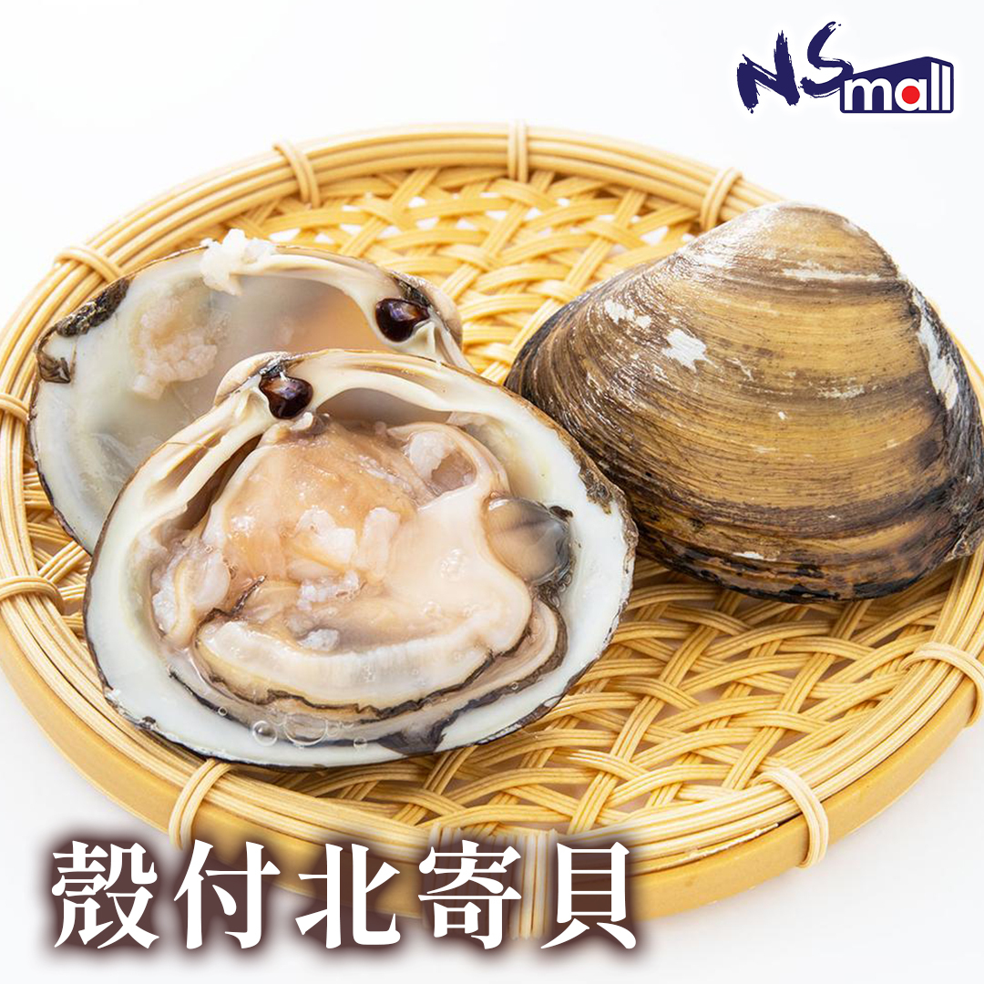 北寄貝(殼付) 約350-400g/隻