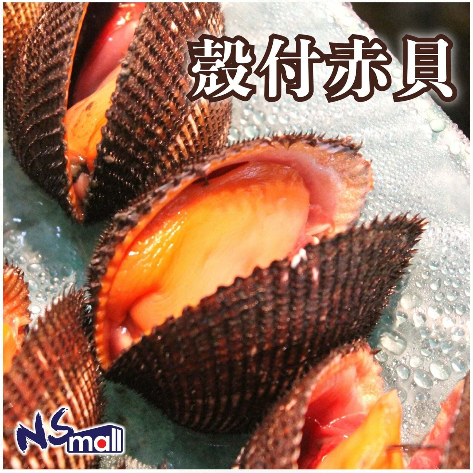 赤貝(殼付) 約100-150g/隻