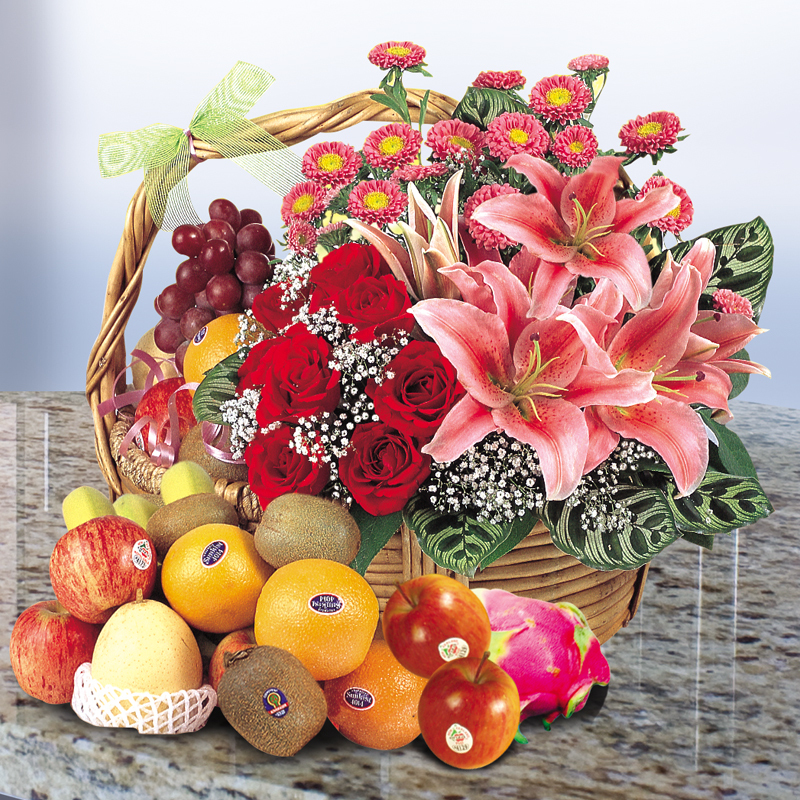 HF16 ⭐⭐⭐⭐⭐member discount