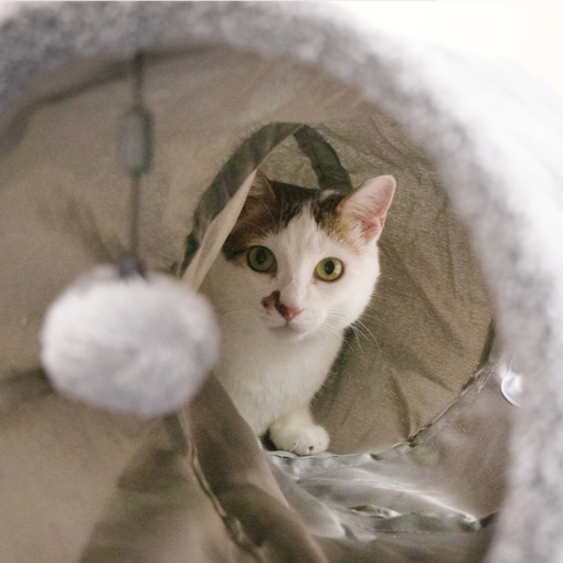 汪喵星球 - S型靜音貓隧道（可折疊）