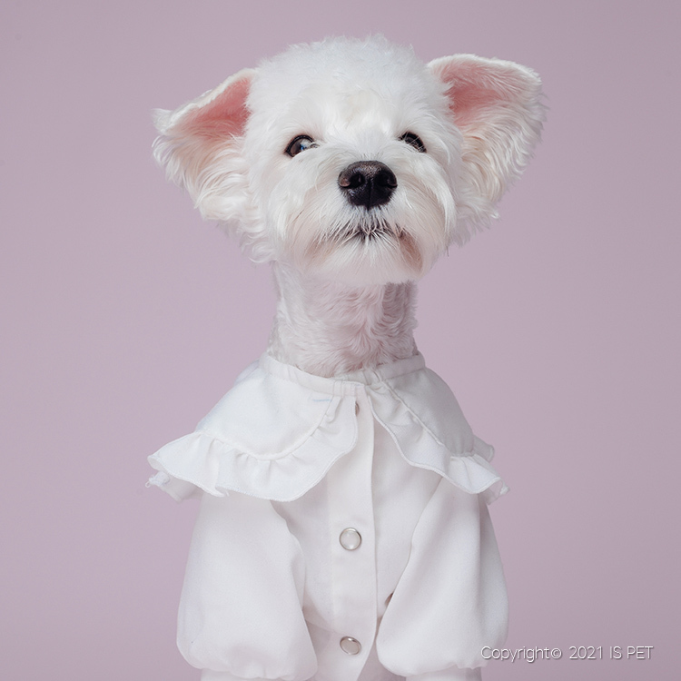 IsPet 寵物衣服—大領棉布燈籠袖白色襯衫 - [5尺寸]