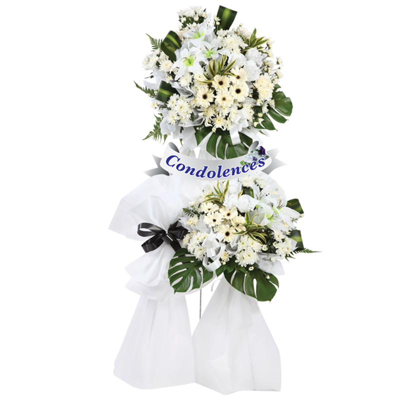 H17 ⭐⭐⭐⭐⭐MEMBER DISCOUNT