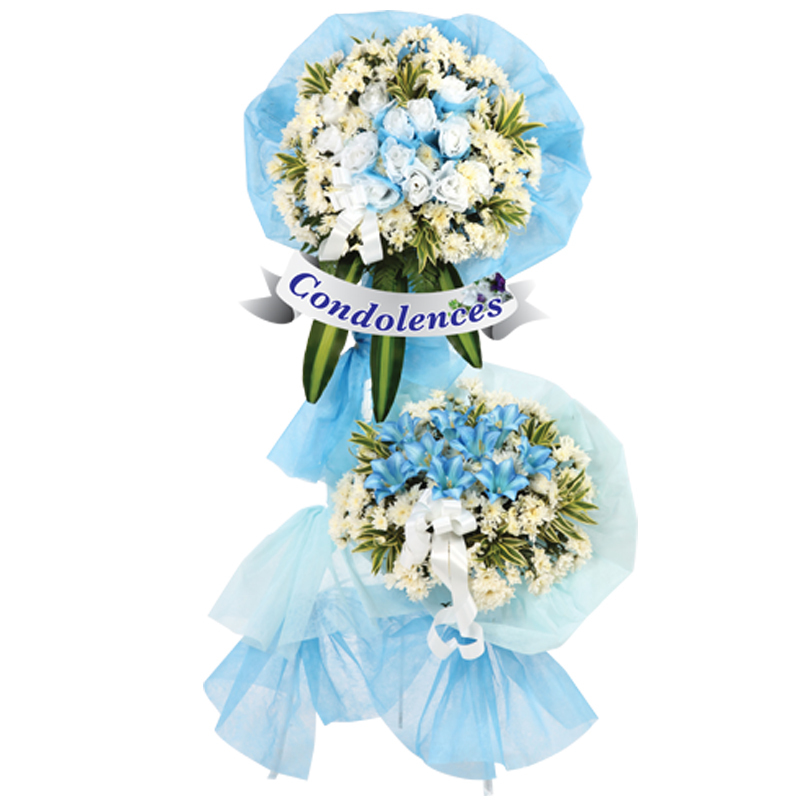 H19 ⭐⭐⭐⭐⭐ MEMBER DISCOUNT