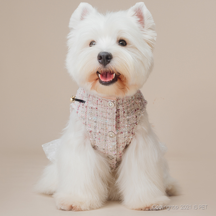 IsPet 寵物衣服—毛金銀絲編織香奈兒風連身裙連背包裝飾 - [5尺寸]