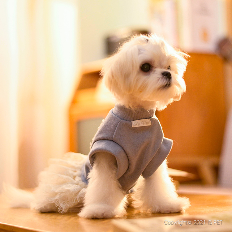 IsPet 寵物衣服—天絲羊絨混紡小花藍色連身裙 - [ 4尺寸]