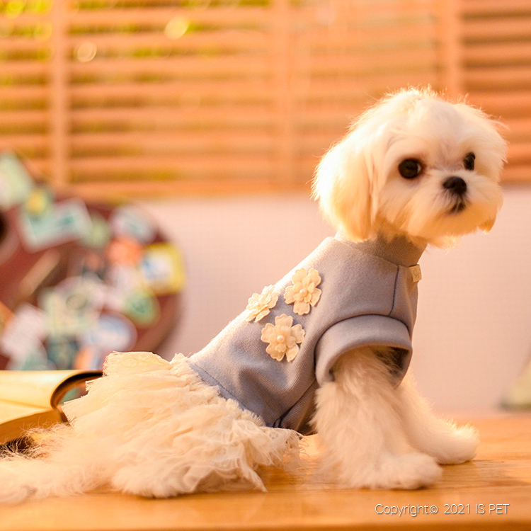 IsPet 寵物衣服—天絲羊絨混紡小花藍色連身裙 - [ 4尺寸]