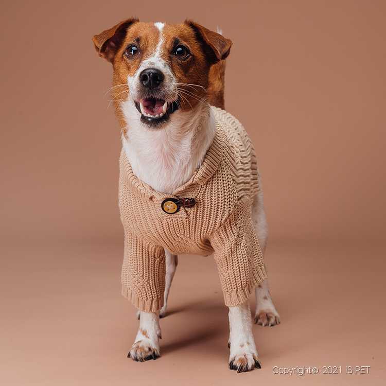 IsPet  寵物衣服—棉質青果領有袖彈力毛衣 - 啡色 - [5尺寸]