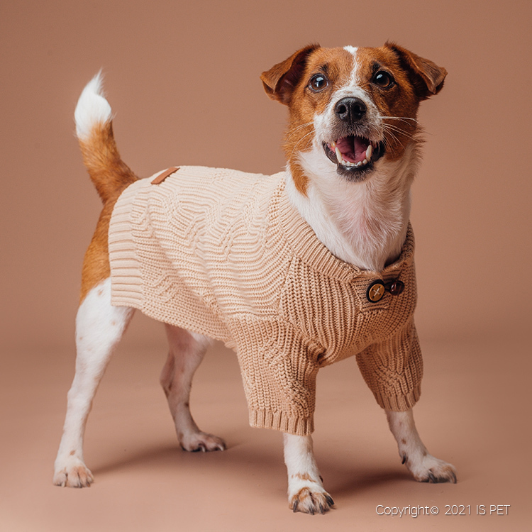 IsPet  寵物衣服—棉質青果領有袖彈力毛衣 - 啡色 - [5尺寸]