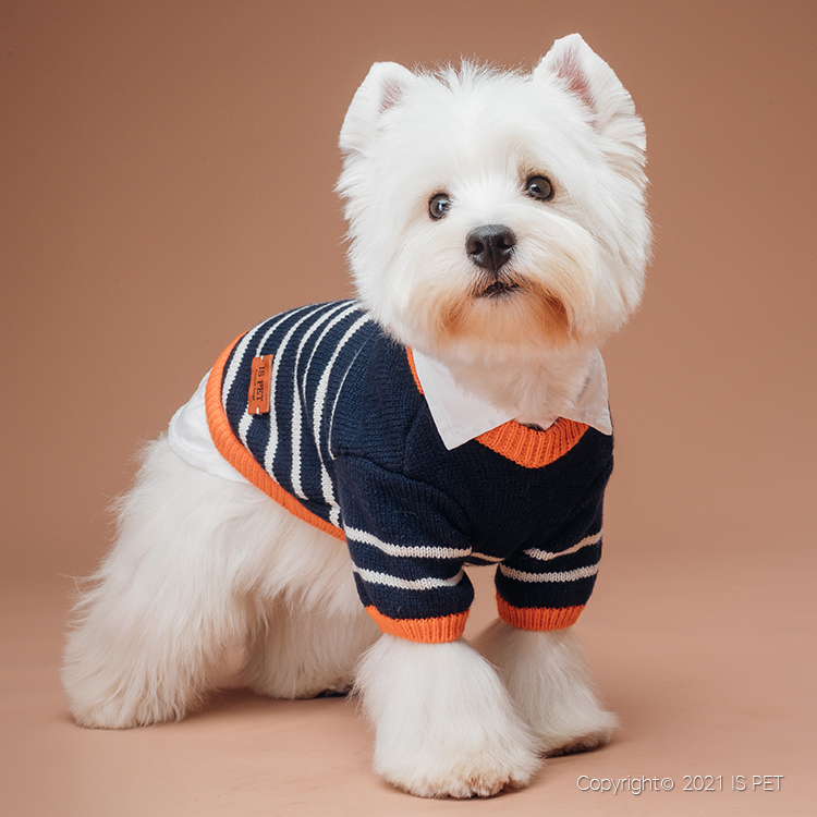 IsPet 寵物衣服—假領仿羊絨二合一毛衣 - 藍色 - [5尺寸]