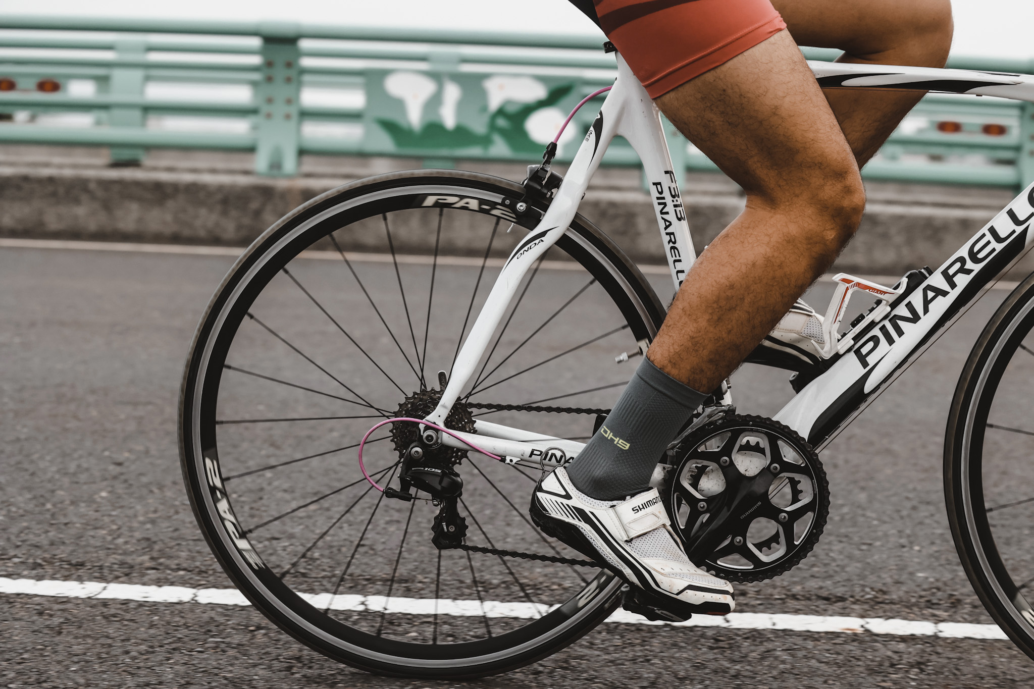 OH9黑狗運動裝備 自行車襪2