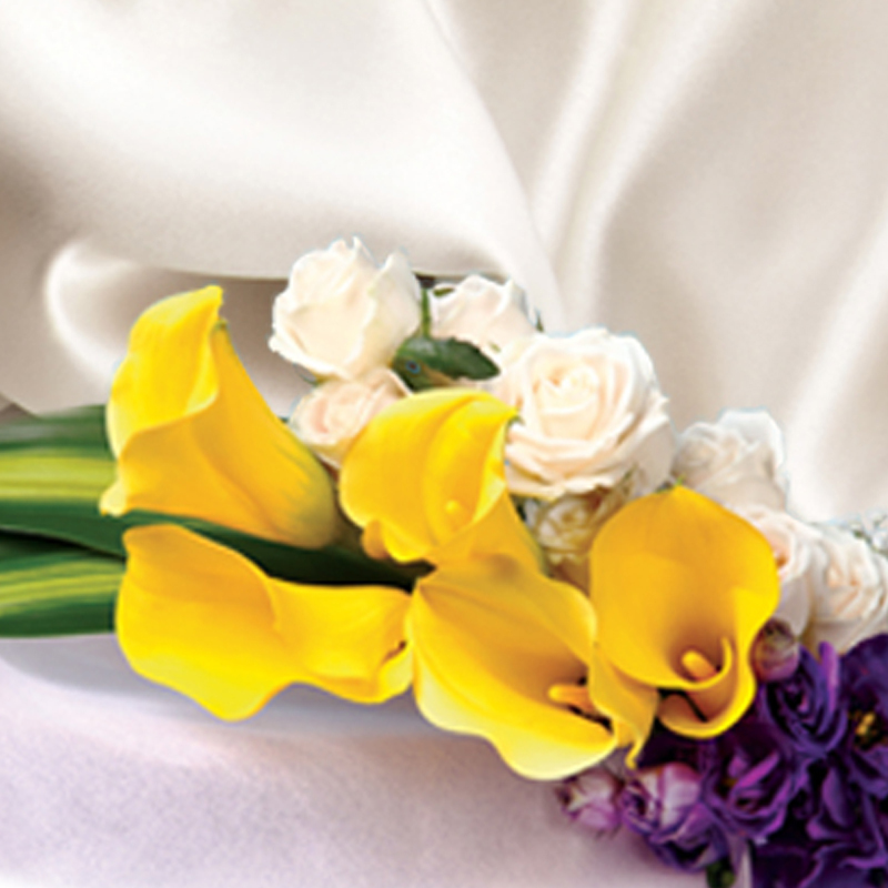 HHB01 ⭐⭐⭐⭐⭐MEMBER DISCOUNT